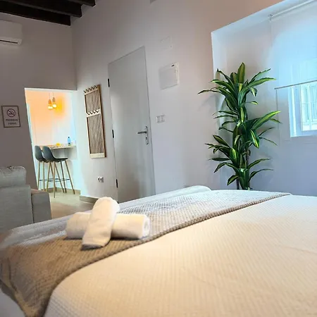 Loft Mamalu Jerez Lejlighed