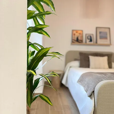 Loft Mamalu Jerez Appartamento *