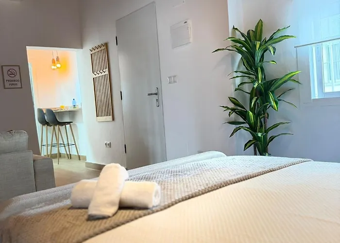 Loft Mamalu Jerez Apartment